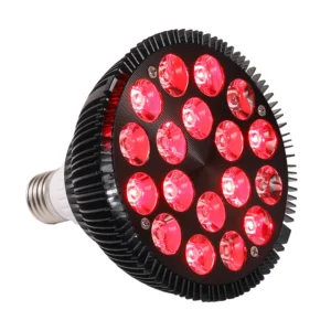 Lampa Owleye
