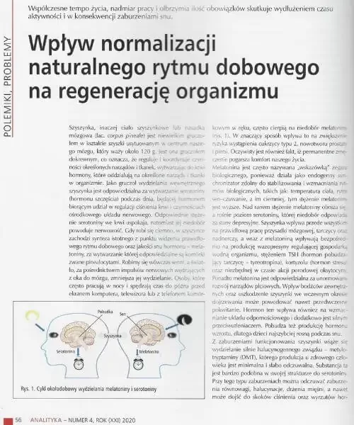 Artykuł